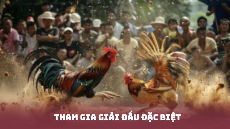 Tham gia giải đấu đặc biệt